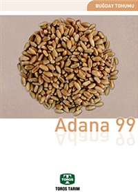 368 ADANA 99 buğday tohumu