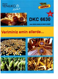 158 DEKALB  DKC 6630 MISIR TOHUMU