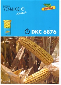 159 DEKALB DKC 6876 MISIR TOHUMU